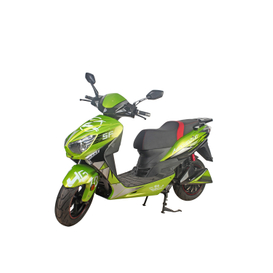 SCOOTER ELÉCTRICO DE DOS RUEDAS DE 1200 W POTENTE (F1-3)